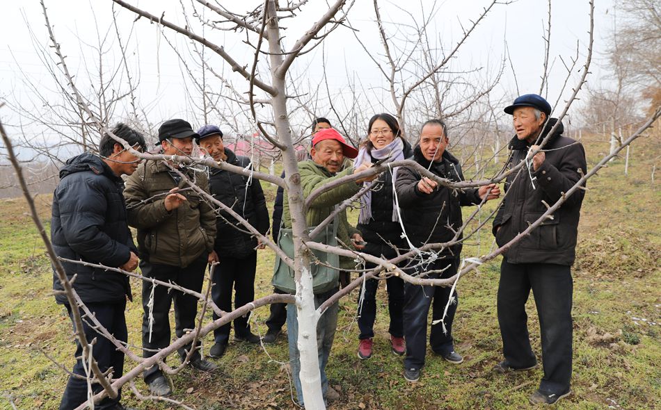 1578305749032072788.jpg 1578305749032072788.jpg