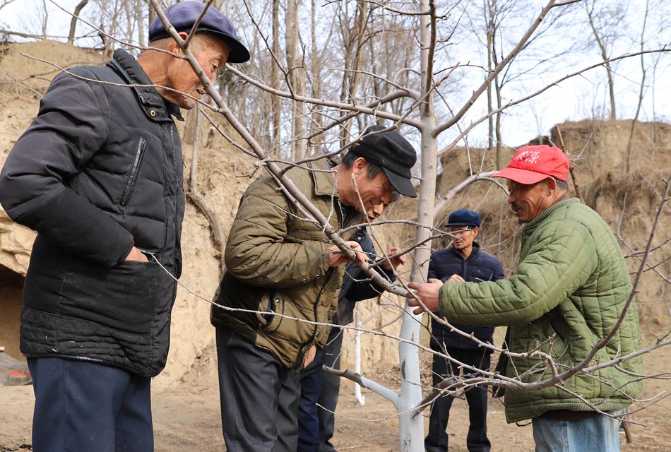 1578306345779050845.jpg 1578306345779050845.jpg