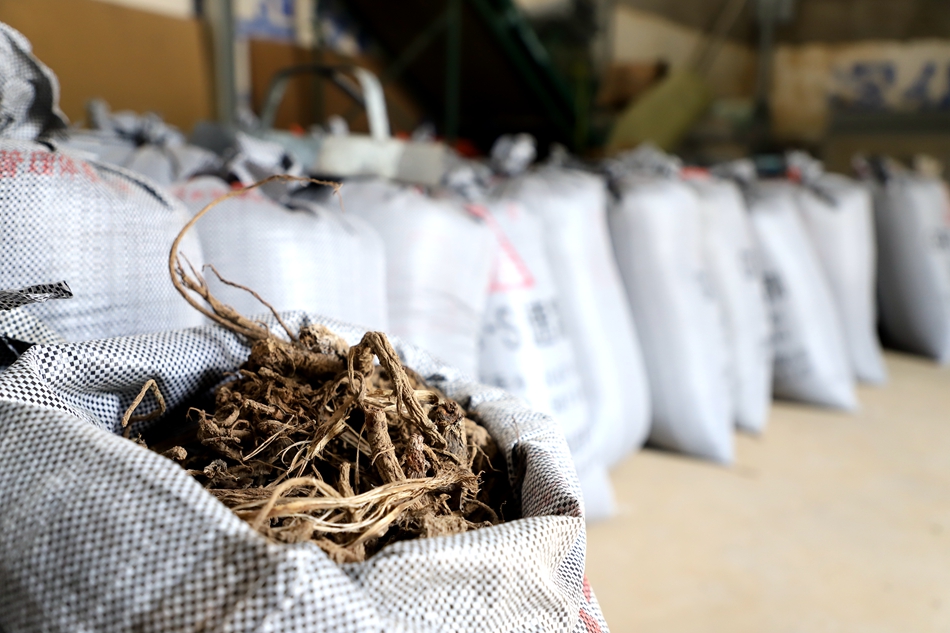 新甘肃 清水 发展特色中药材产业擦亮 轩辕故里康养福地 品牌 清水县人民政府