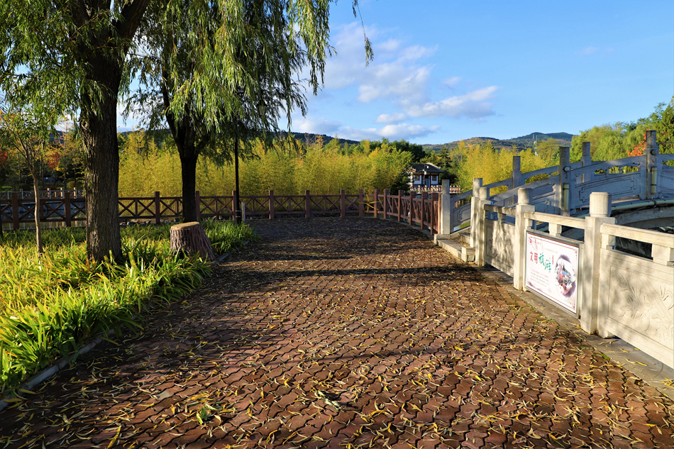 清水：多彩秋景美如画